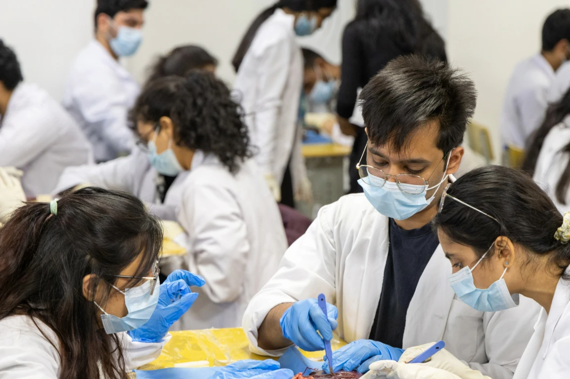 Educational Dissection Workshop Series for Medical Students